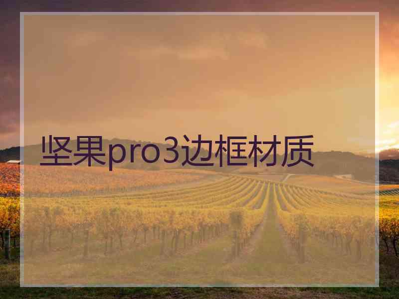 坚果pro3边框材质