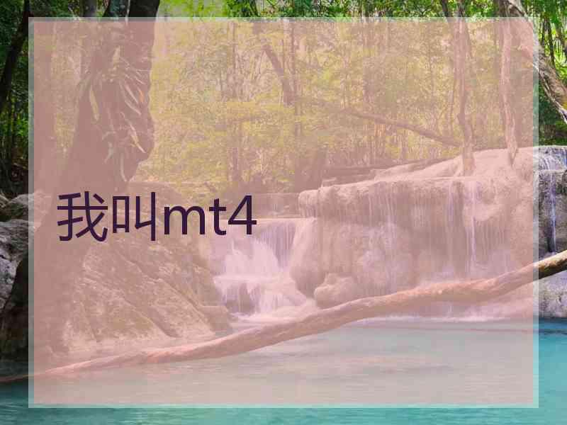 我叫mt4