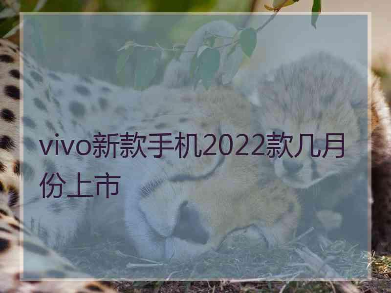 vivo新款手机2022款几月份上市