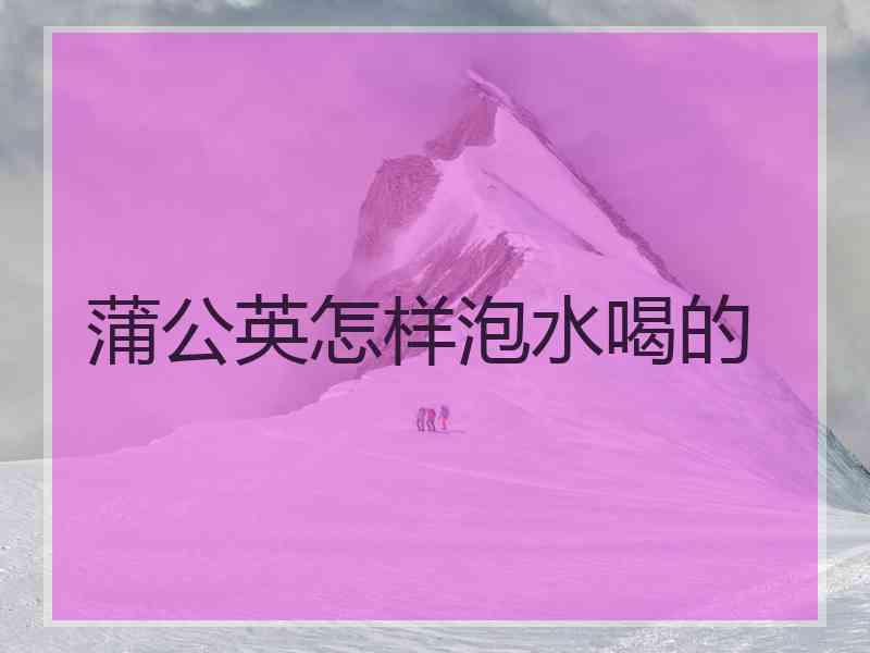 蒲公英怎样泡水喝的