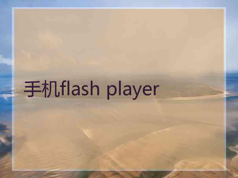 手机flash player