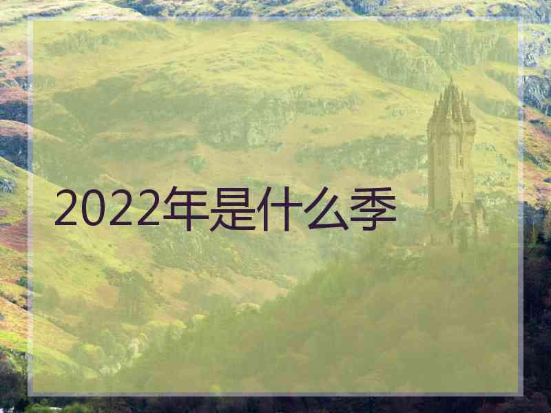 2022年是什么季