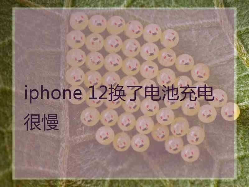 iphone 12换了电池充电很慢