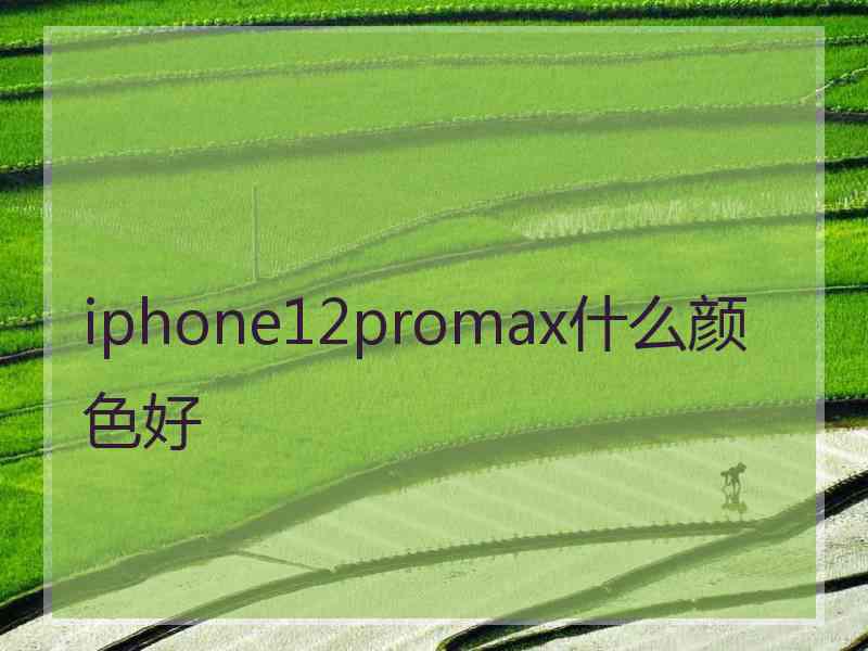 iphone12promax什么颜色好