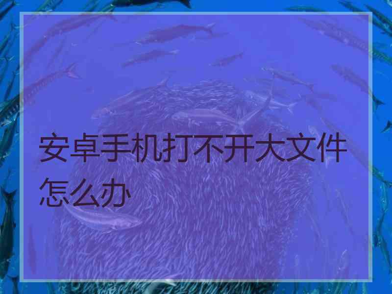 安卓手机打不开大文件怎么办