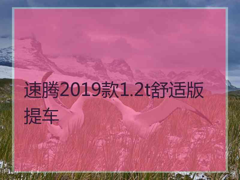 速腾2019款1.2t舒适版提车