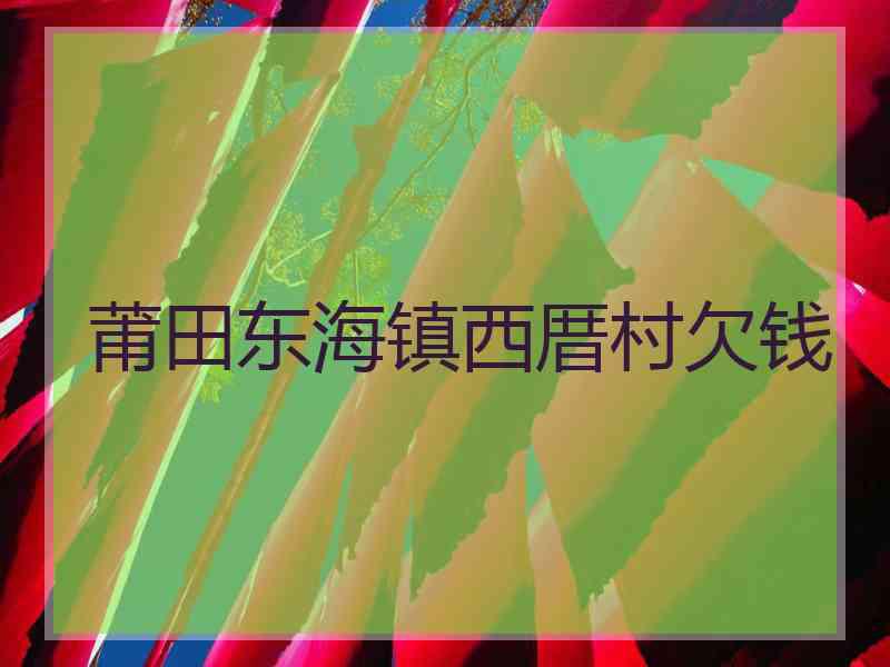 莆田东海镇西厝村欠钱