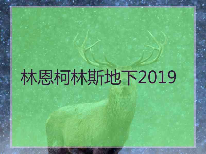 林恩柯林斯地下2019