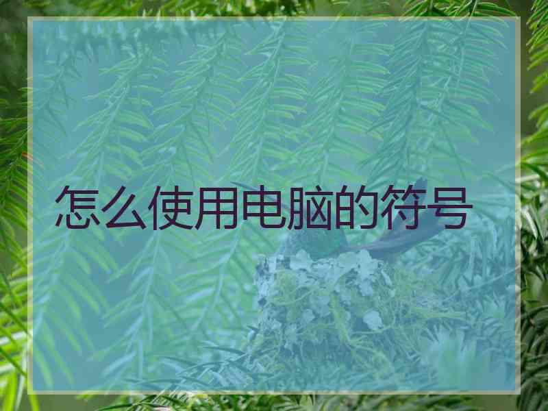 怎么使用电脑的符号