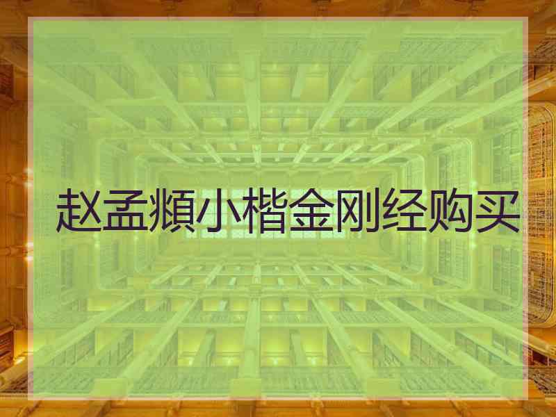 赵孟頫小楷金刚经购买