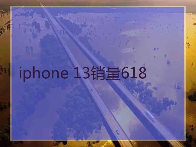 iphone 13销量618