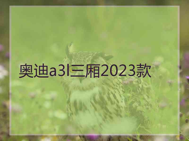 奥迪a3l三厢2023款