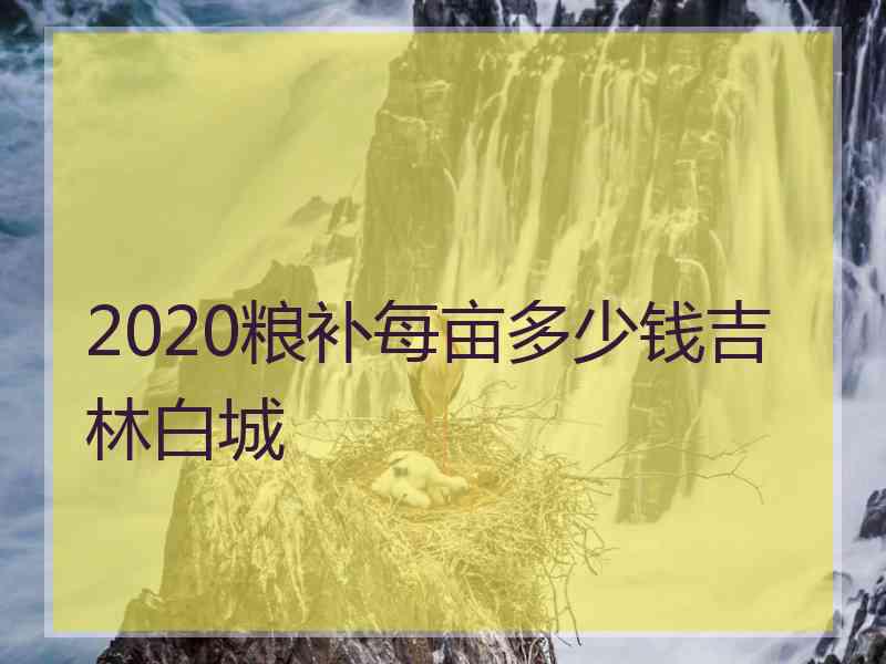 2020粮补每亩多少钱吉林白城