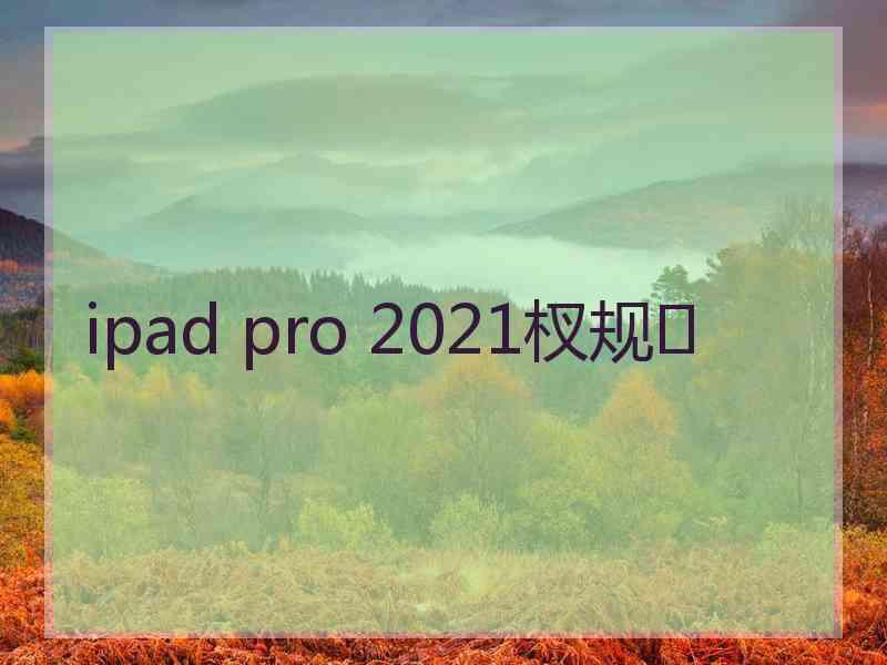 ipad pro 2021杈规