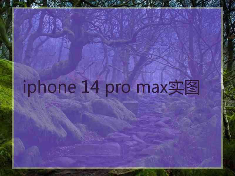 iphone 14 pro max实图