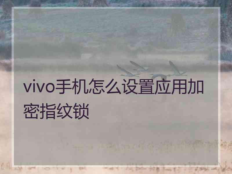 vivo手机怎么设置应用加密指纹锁