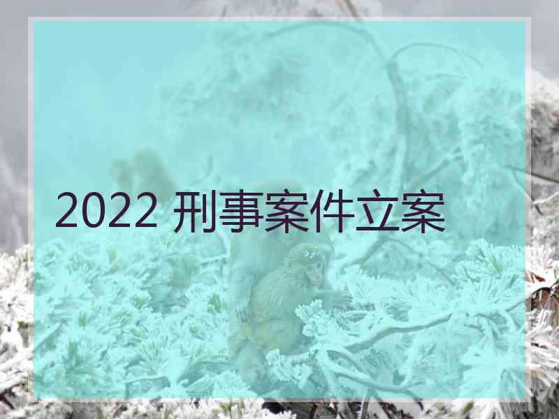 2022 刑事案件立案