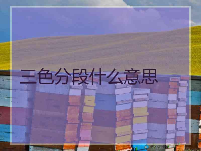 三色分段什么意思