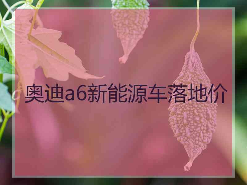 奥迪a6新能源车落地价