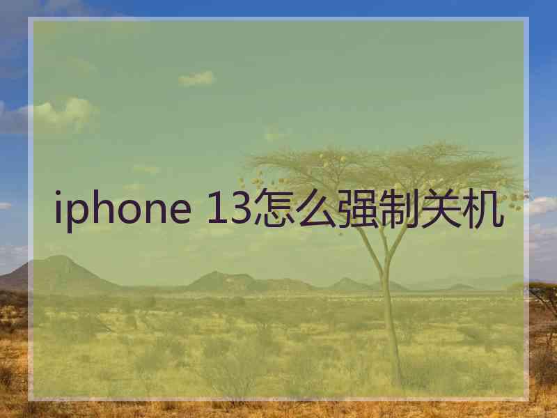 iphone 13怎么强制关机