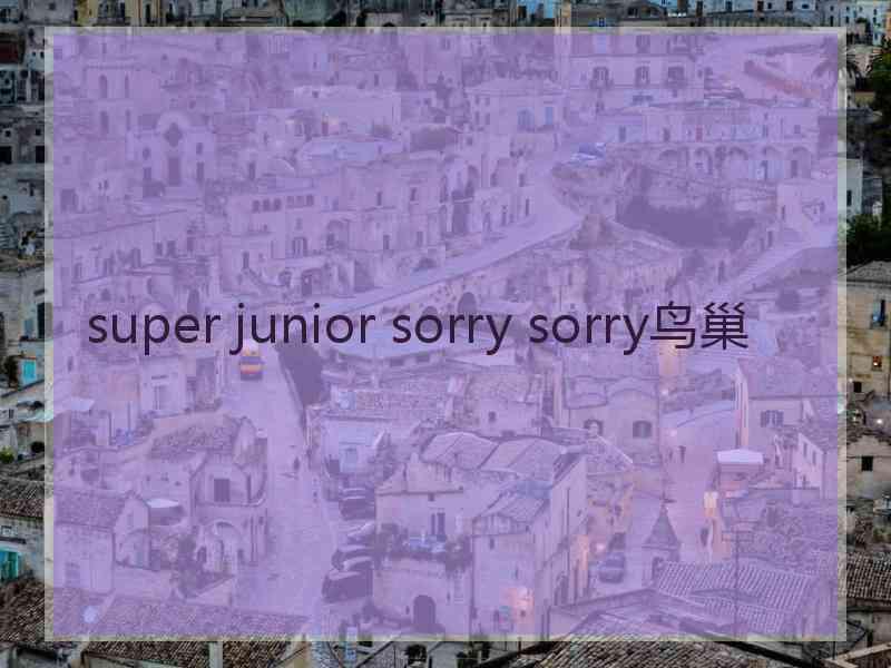 super junior sorry sorry鸟巢