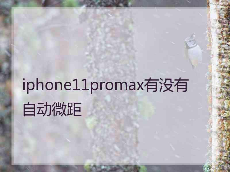 iphone11promax有没有自动微距