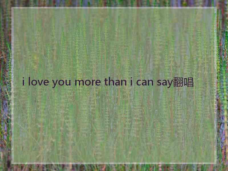 i love you more than i can say翻唱