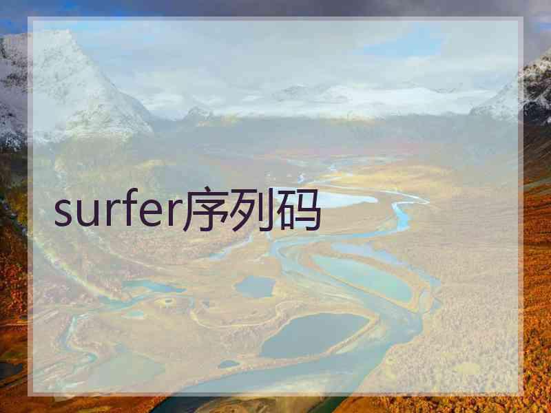 surfer序列码