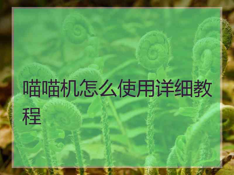 喵喵机怎么使用详细教程