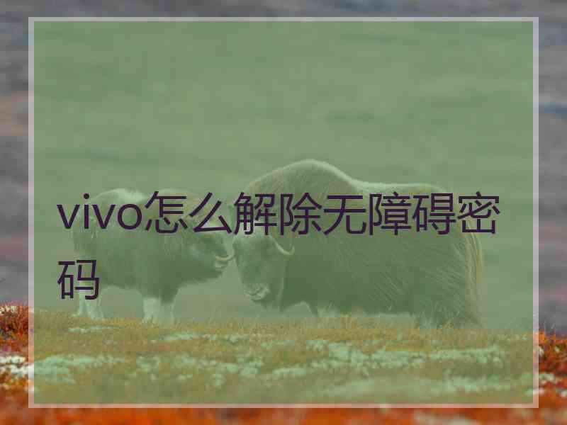 vivo怎么解除无障碍密码