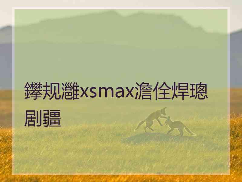 鑻规灉xsmax澹佺焊璁剧疆