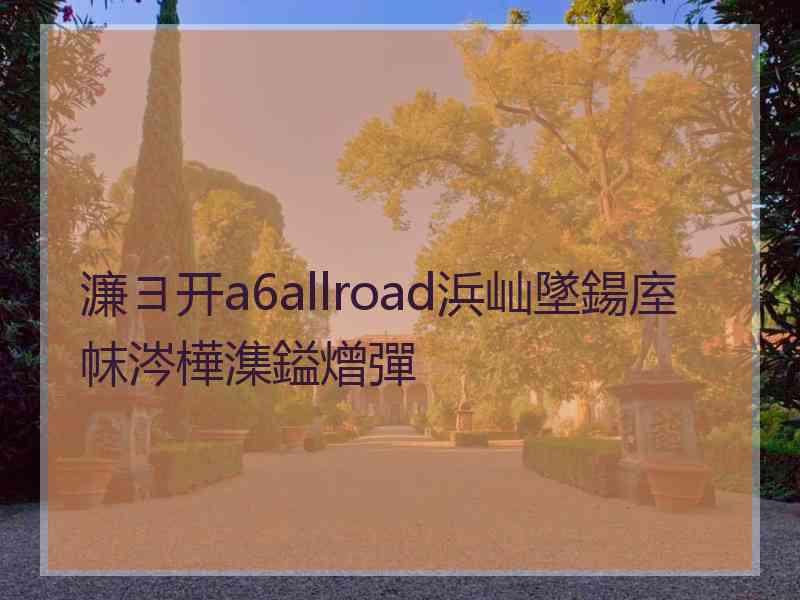 濂ヨ开a6allroad浜屾墜鍚庢帓涔樺潗鎰熷彈