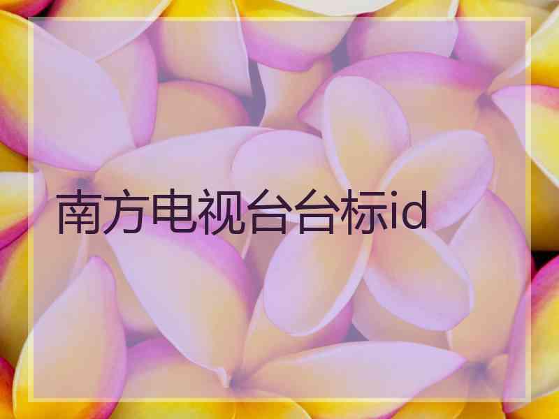 南方电视台台标id