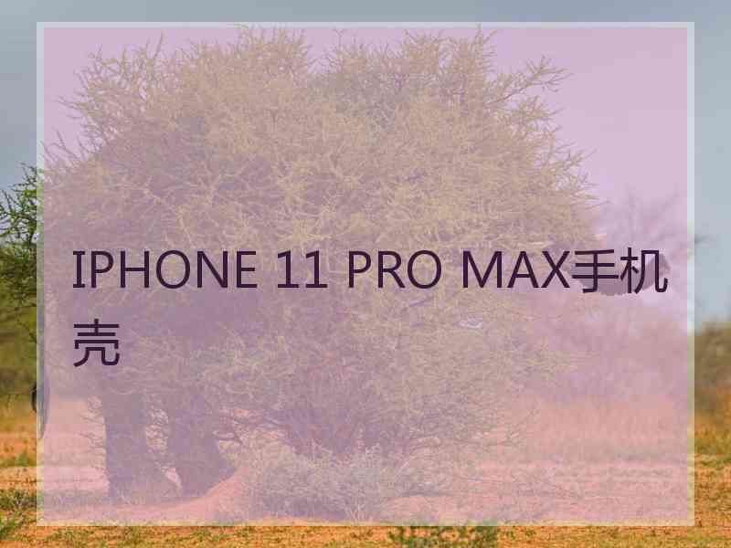 IPHONE 11 PRO MAX手机壳