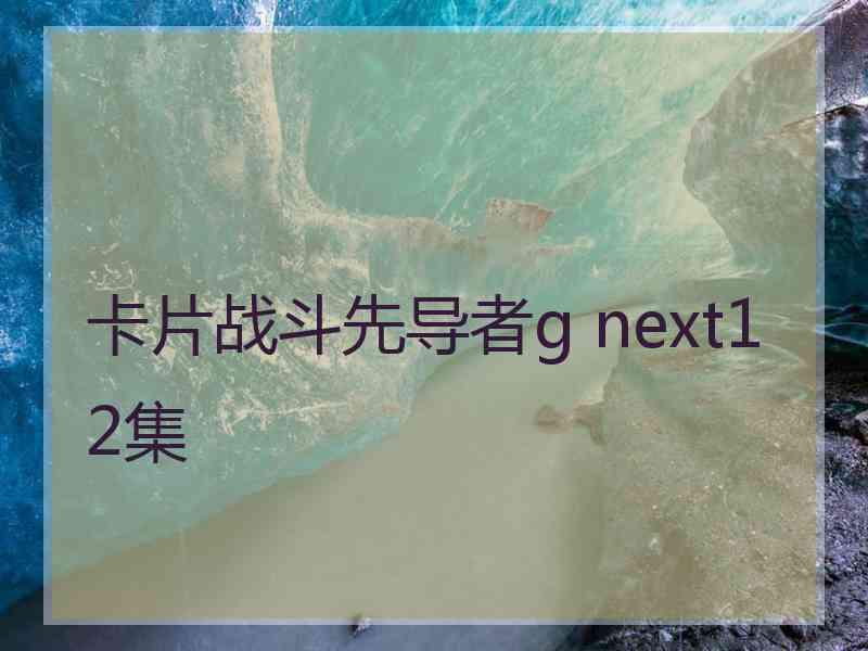 卡片战斗先导者g next12集