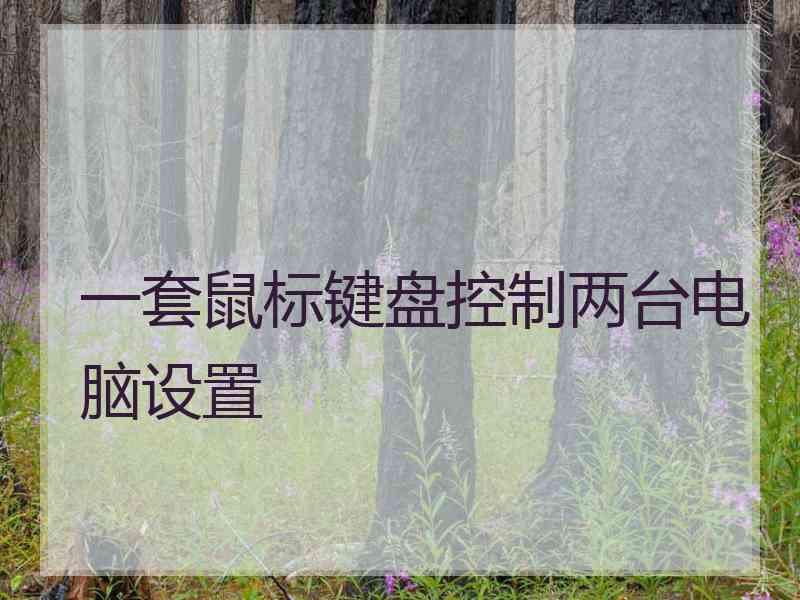 一套鼠标键盘控制两台电脑设置