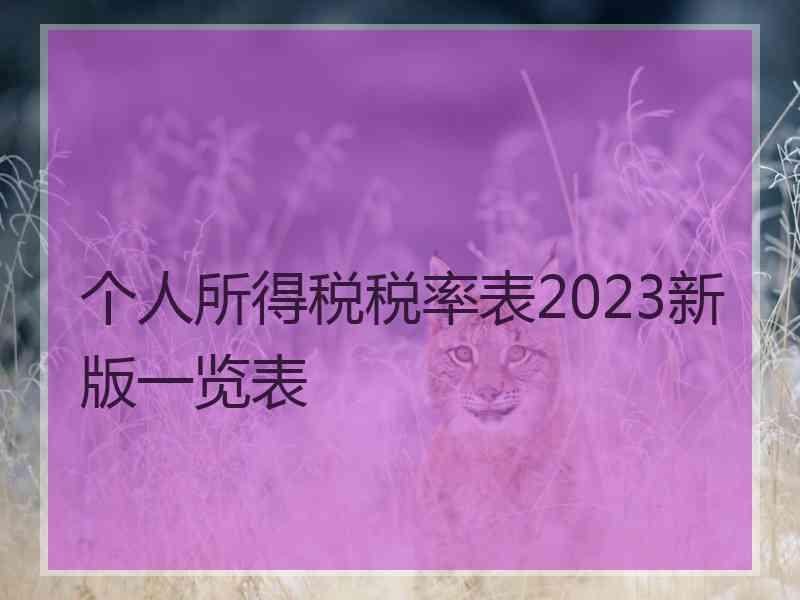 个人所得税税率表2023新版一览表