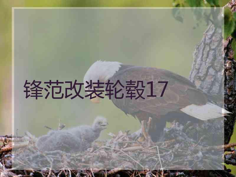 锋范改装轮毂17