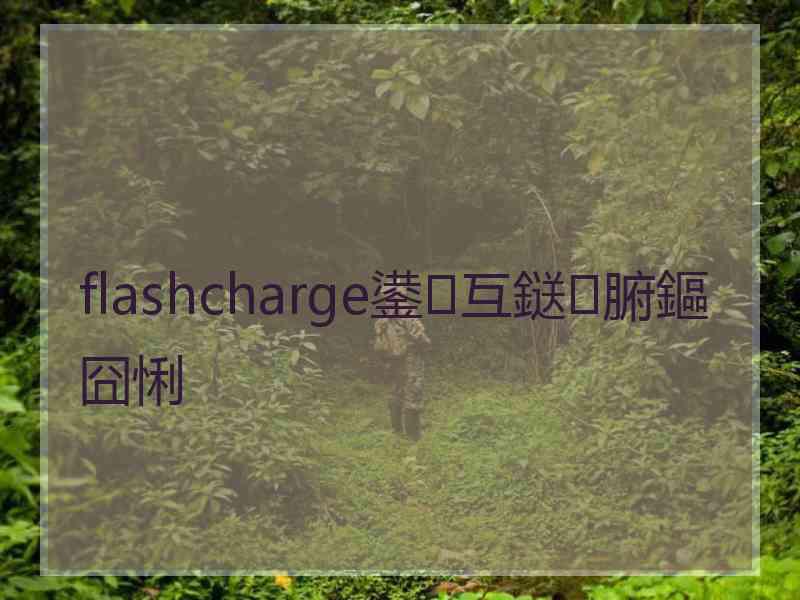 flashcharge鍙互鎹腑鏂囧悧