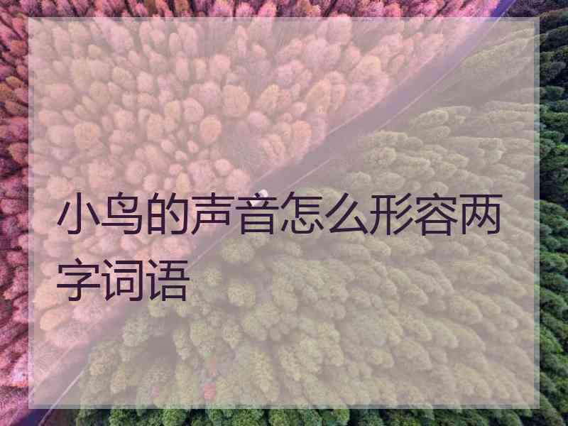 小鸟的声音怎么形容两字词语