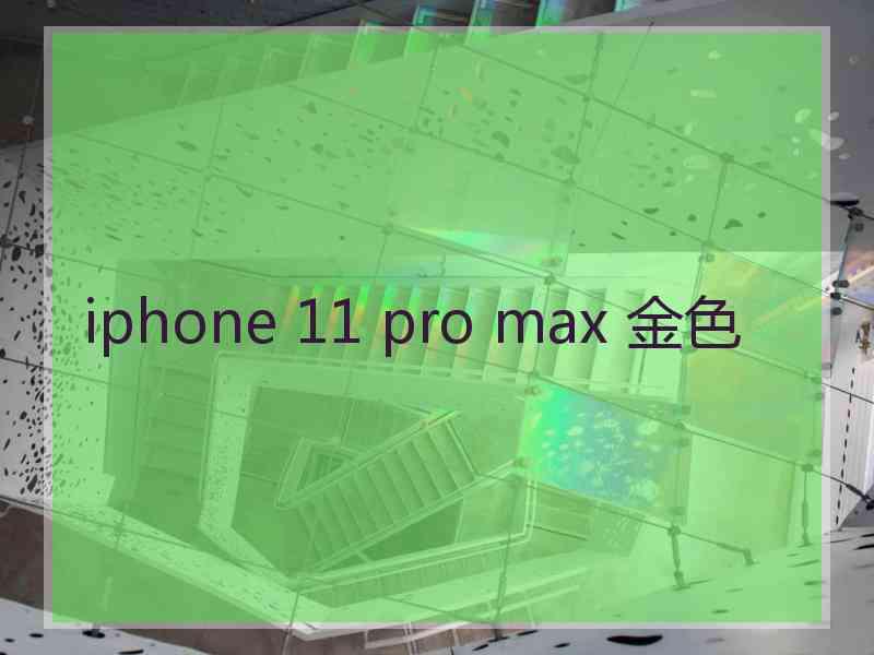 iphone 11 pro max 金色