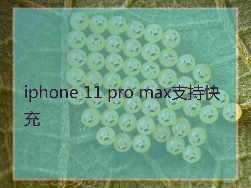 iphone 11 pro max支持快充