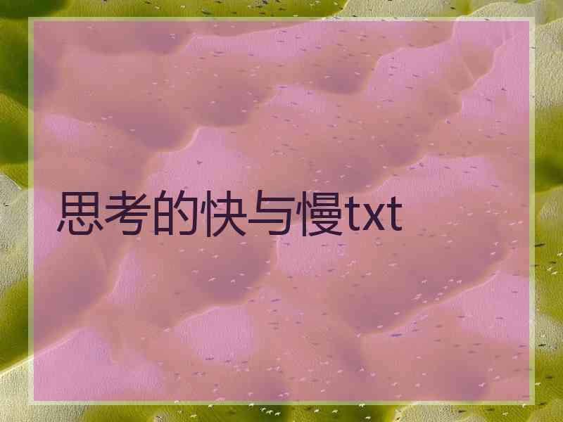 思考的快与慢txt