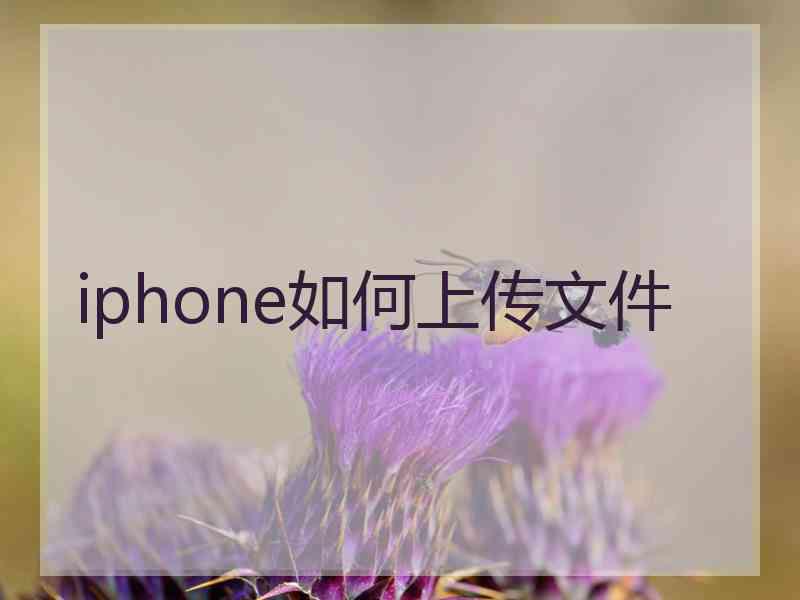 iphone如何上传文件