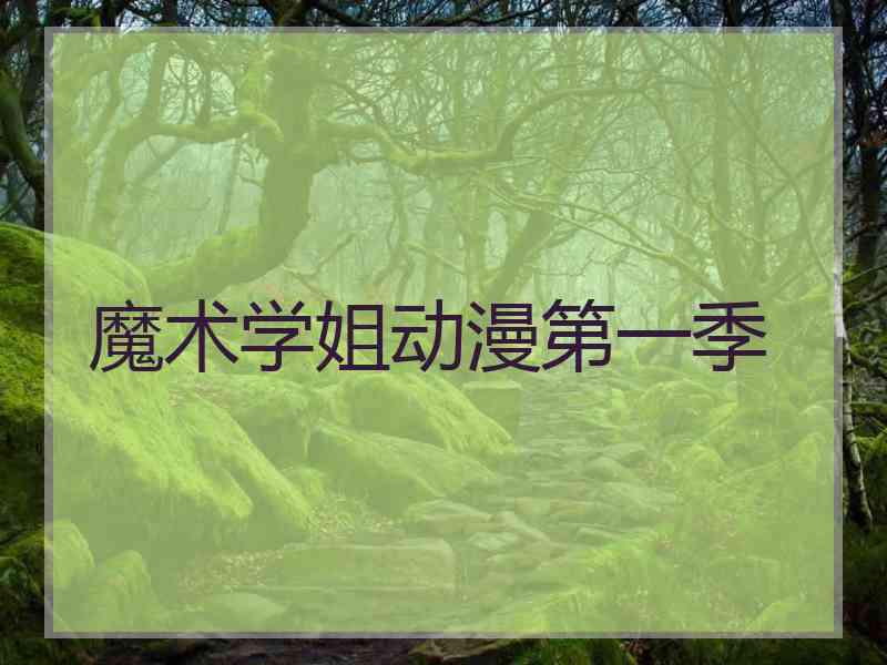 魔术学姐动漫第一季