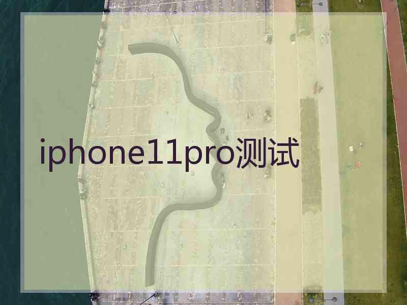 iphone11pro测试