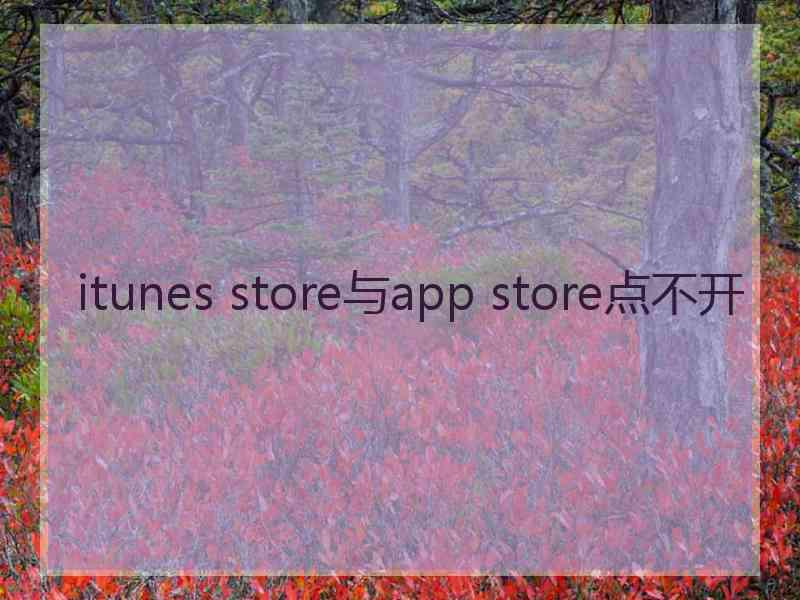 itunes store与app store点不开