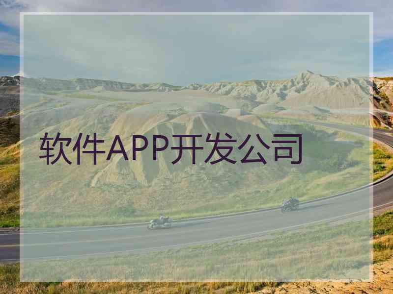 软件APP开发公司