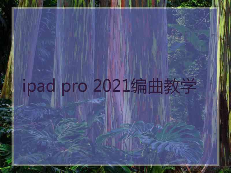 ipad pro 2021编曲教学