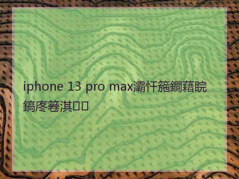 iphone 13 pro max灞忓箷鐧藉睆鎬庝箞淇